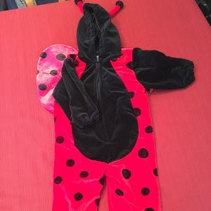 Ladybug costume